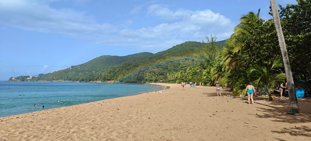 Large sandy beach, with palm trees and a rainbow, and forested hills in the background