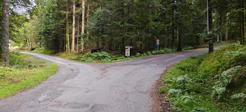 Two tarmaced roads split just ahead