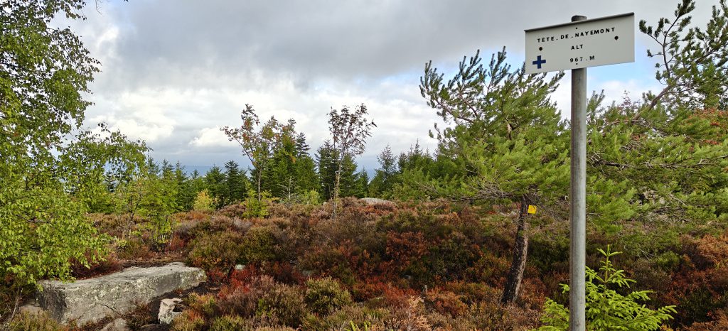 Heather on a hilltop with a few rocks. A sign on a metal post contains the name of the hill and altitude.