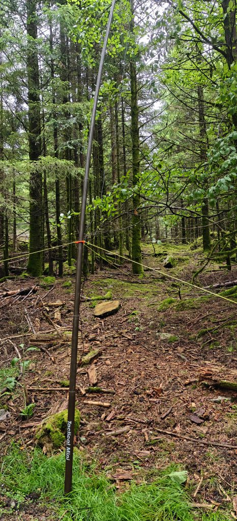 Brown fibreglass antenna pole set up in a forest.