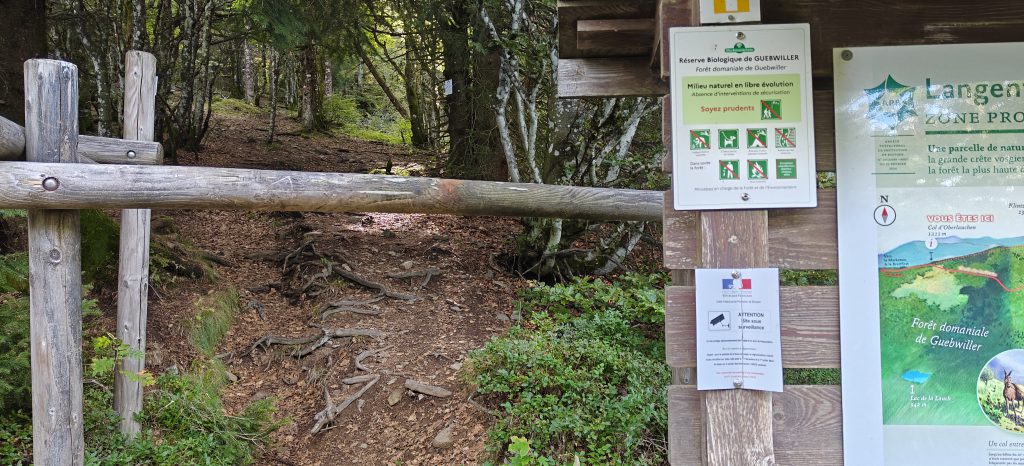 A wooden bar across a forest path. Warning signs give a list of rules including a notice about surveillance.