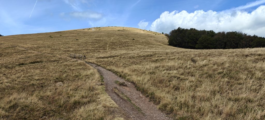 A grassy hill rises in front of a well-trodden path. A faint path heads directly up the hill but there is a wooden fence at the bottom.