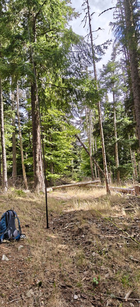 My aerial mast and backpack in a forest clearing.